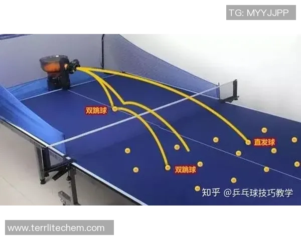 武汉乒乓球队区域防守策略深度解析与技术探讨