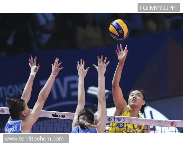 武汉排球队的节奏揭秘：排球巨献背后的故事与精神