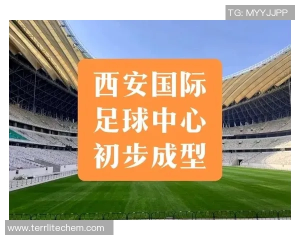 西安足球队的崛起与发展探秘：力量与潜力的全面分析