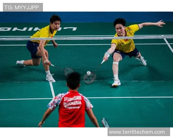 羽毛球意识排行榜揭晓上海羽毛球队荣登第六位引发关注