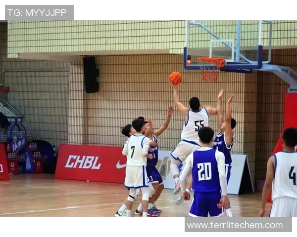 重庆篮球队的转型之路:从传统到现代的深度解析与未来展望