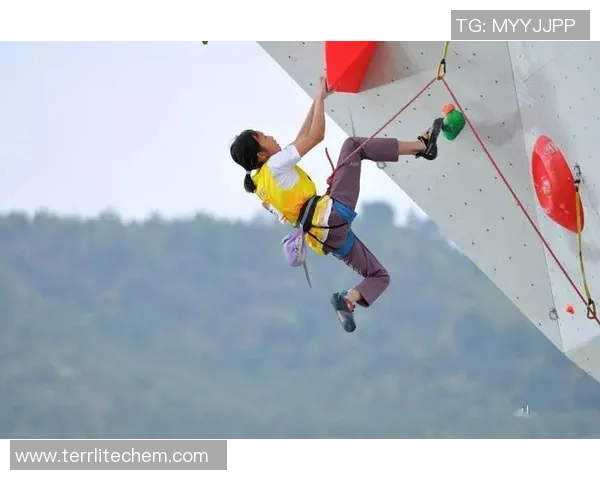 南京攀岩队在全国攀岩战术排行榜中荣获第十名的辉煌成就