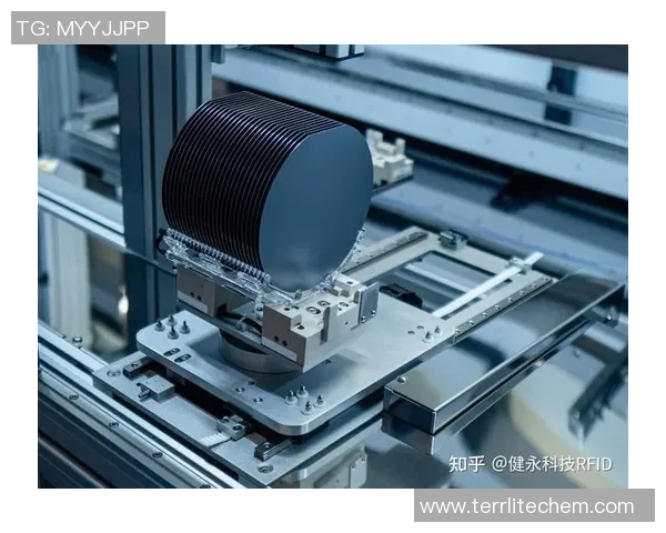 上海极限运动队的节奏得失分析与未来发展展望