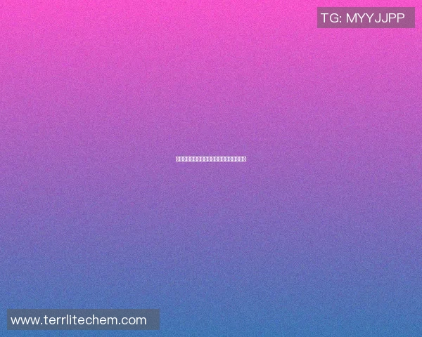 西安排球队转换策略解析与排球热点动态探讨