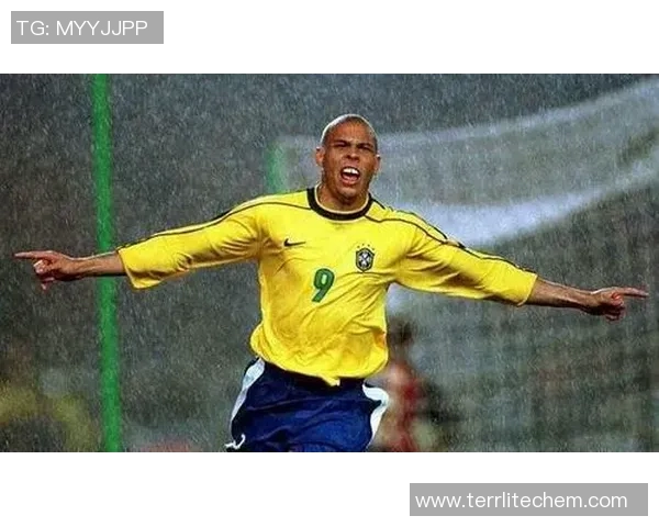 足球明星D席的精彩瞬间壁纸分享尽显球场魅力与风采 足球明星D席的精彩瞬间壁纸分享尽显球场魅力与风采