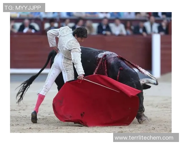 足球明星挑战传统舞蹈魅力跳斗牛舞展现激情与风采 足球明星挑战传统舞蹈魅力跳斗牛舞展现激情与风采